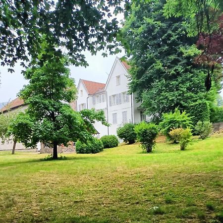 Domaine De La Moselle Bed & Breakfast Saint-Maurice-sur-Moselle Luaran gambar