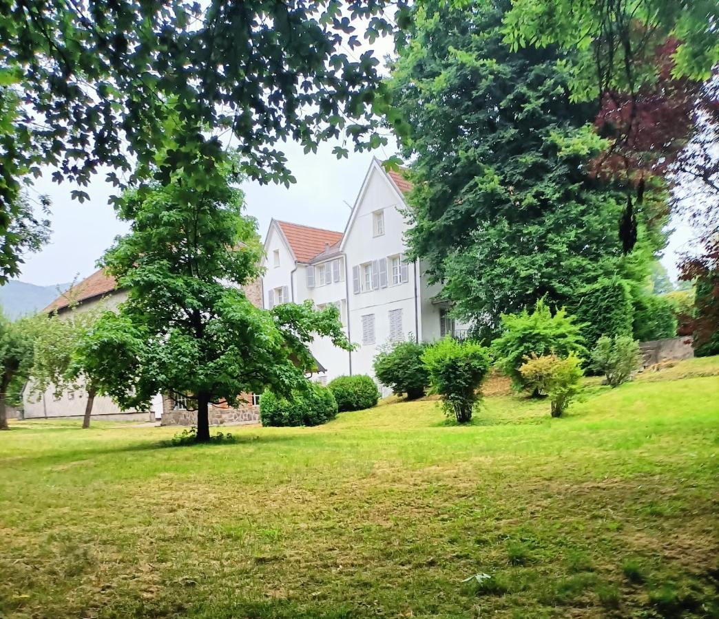 Domaine De La Moselle Bed & Breakfast Saint-Maurice-sur-Moselle Luaran gambar